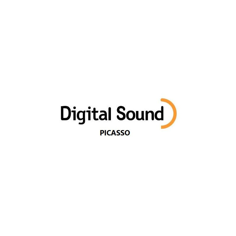 Kit Digital "Gold" 2 feux rouges complet  - Picasso